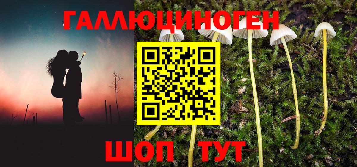 Лиски  Псилоцибиновые грибы ЛСД  Вход с VPN 
