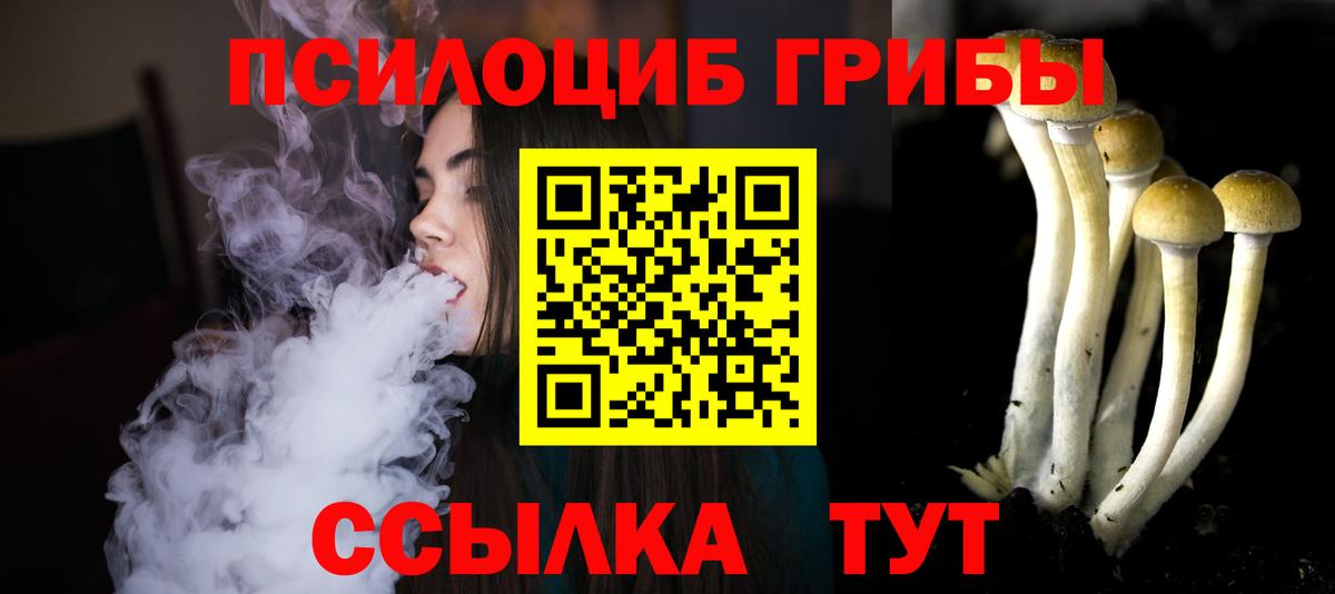 Псилоцибиновые грибы GOLDEN TEACHER Лиски